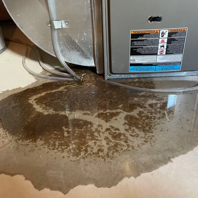Pipe Burst and Leak Restoration in Honesdale, PA